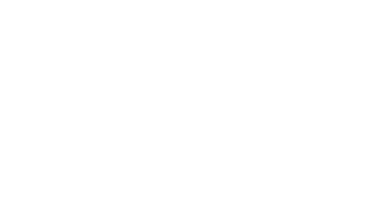 Apollo Logo White
